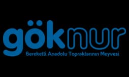 Göknur